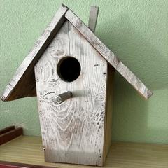 Жизнь замечательных детей