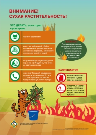 МЧС НАПОМИНАЕТ  : ВНИМАНИЕ ! Сухая растительность